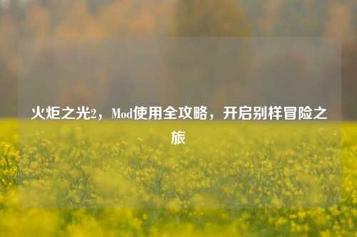 火炬之光2，Mod使用全攻略，开启别样冒险之旅