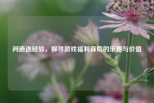 问道送经验，探寻游戏福利背后的乐趣与价值