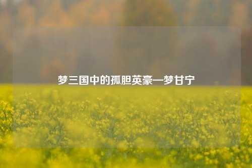 梦三国中的孤胆英豪—梦甘宁