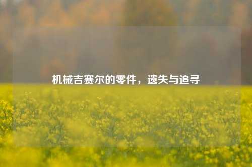 机械吉赛尔的零件，遗失与追寻