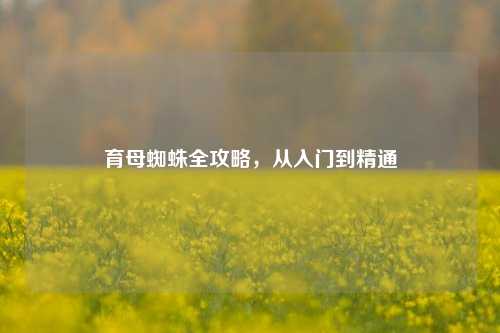 育母蜘蛛全攻略，从入门到精通