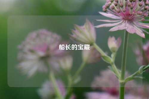 船长的宝藏