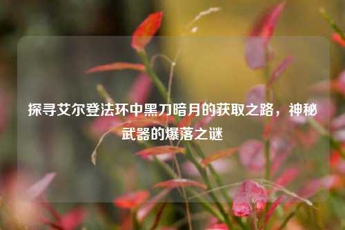 探寻艾尔登法环中黑刀暗月的获取之路，神秘武器的爆落之谜