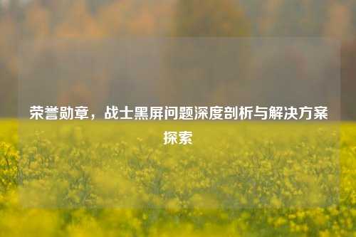 荣誉勋章，战士黑屏问题深度剖析与解决方案探索