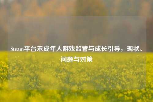 Steam平台未成年人游戏监管与成长引导，现状、问题与对策