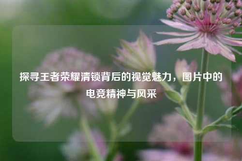 探寻王者荣耀清锁背后的视觉魅力，图片中的电竞精神与风采