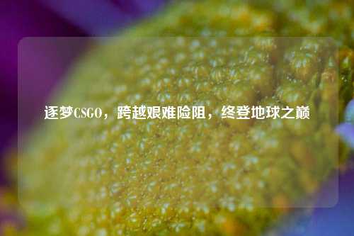 逐梦CSGO，跨越艰难险阻，终登地球之巅