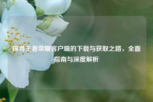 探寻王者荣耀客户端的下载与获取之路，全面指南与深度解析