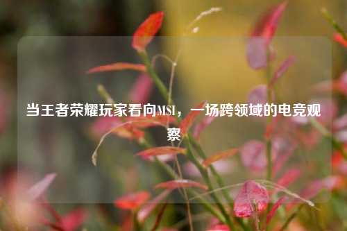 当王者荣耀玩家看向MSI，一场跨领域的电竞观察