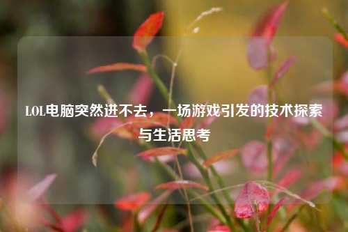 LOL电脑突然进不去，一场游戏引发的技术探索与生活思考
