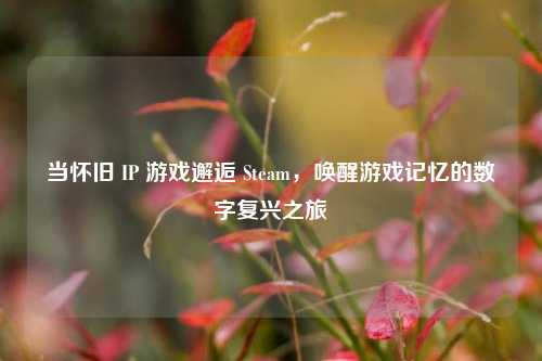 当怀旧 IP 游戏邂逅 Steam，唤醒游戏记忆的数字复兴之旅