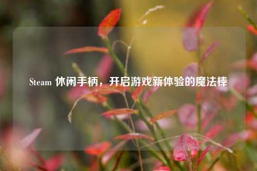 Steam 休闲手柄，开启游戏新体验的魔法棒