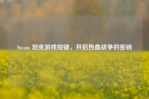 Steam 坦克游戏按键，开启热血战争的密钥