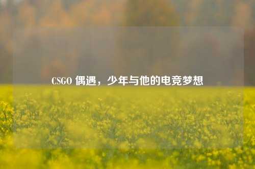 CSGO 偶遇，少年与他的电竞梦想