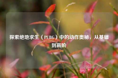 探索绝地求生（PUBG）中的动作奥秘，从基础到高阶