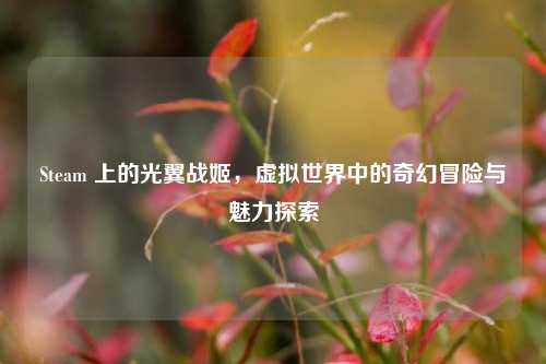 Steam 上的光翼战姬，虚拟世界中的奇幻冒险与魅力探索