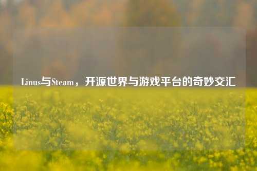 Linus与Steam，开源世界与游戏平台的奇妙交汇