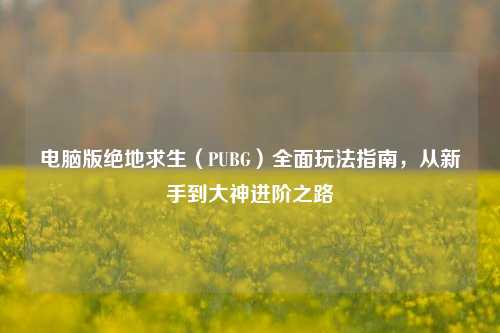 电脑版绝地求生（PUBG）全面玩法指南，从新手到大神进阶之路