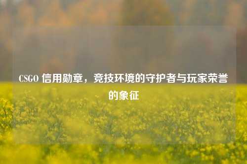 CSGO 信用勋章，竞技环境的守护者与玩家荣誉的象征