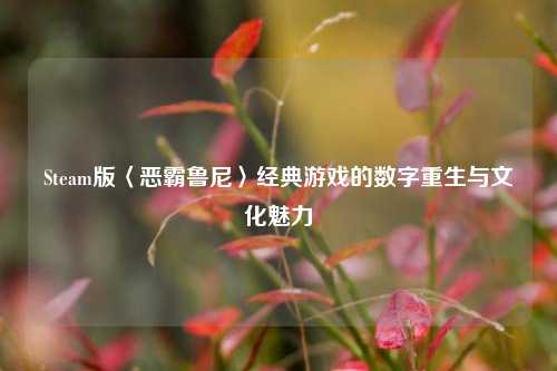 Steam版〈恶霸鲁尼〉经典游戏的数字重生与文化魅力