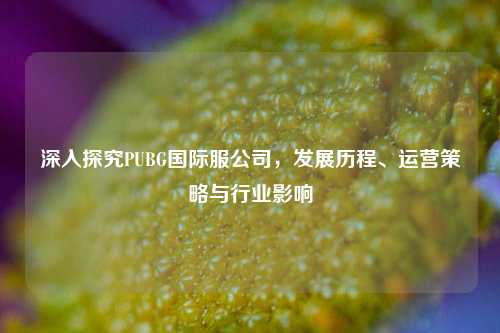 深入探究PUBG国际服公司，发展历程、运营策略与行业影响
