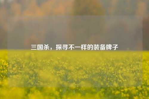 三国杀，探寻不一样的装备牌子