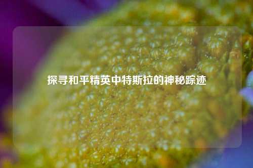 探寻和平精英中特斯拉的神秘踪迹
