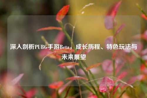 深入剖析PUBG手游Beta，成长历程、特色玩法与未来展望