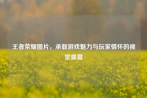 王者荣耀图片，承载游戏魅力与玩家情怀的视觉盛宴