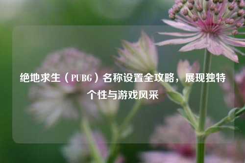 绝地求生（PUBG）名称设置全攻略，展现独特个性与游戏风采