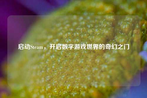 启动Steam，开启数字游戏世界的奇幻之门