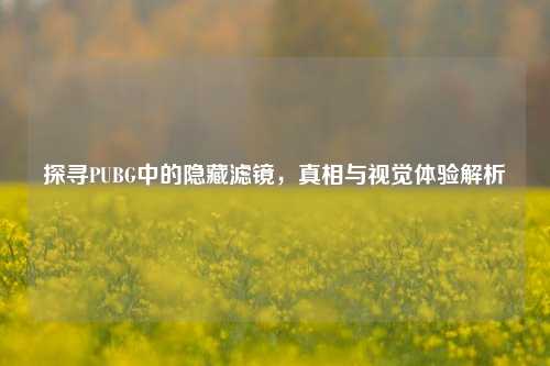 探寻PUBG中的隐藏滤镜，真相与视觉体验解析