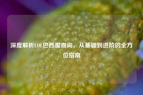 深度解析LOL巴西服查询，从基础到进阶的全方位指南
