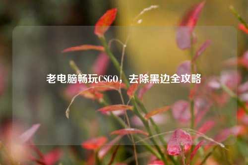 老电脑畅玩CSGO，去除黑边全攻略