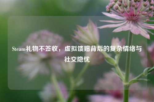 Steam礼物不签收，虚拟馈赠背后的复杂情绪与社交隐忧