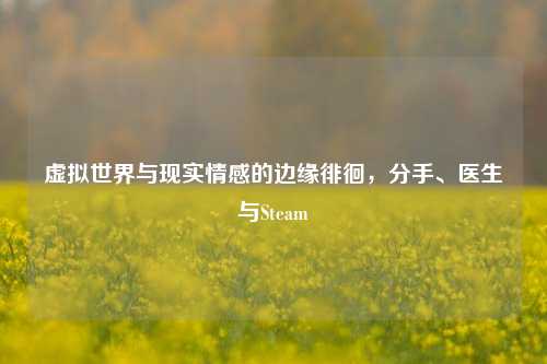 虚拟世界与现实情感的边缘徘徊，分手、医生与Steam