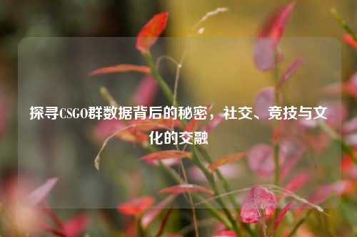 探寻CSGO群数据背后的秘密，社交、竞技与文化的交融