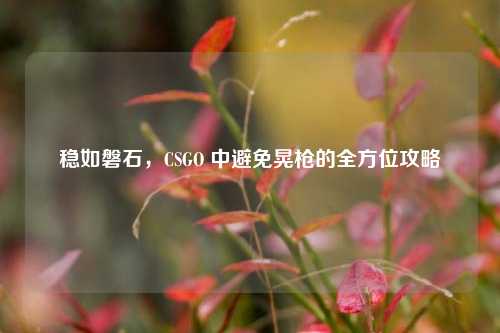 稳如磐石，CSGO 中避免晃枪的全方位攻略