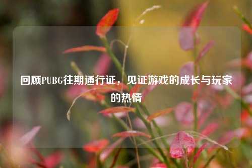 回顾PUBG往期通行证，见证游戏的成长与玩家的热情