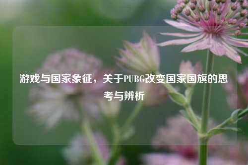 游戏与国家象征，关于PUBG改变国家国旗的思考与辨析