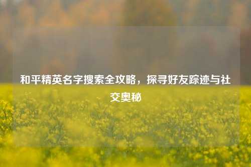 和平精英名字搜索全攻略，探寻好友踪迹与社交奥秘