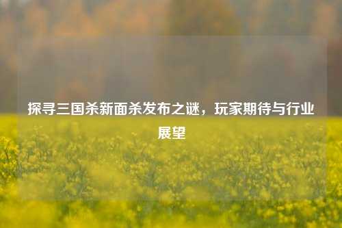 探寻三国杀新面杀发布之谜，玩家期待与行业展望