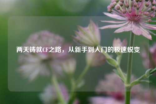 详细阅读:两天铸就CF之路,从新手到入门的极速蜕变 两天铸就CF之路,从新手到入门的极速蜕变