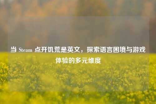 当 Steam 点开饥荒是英文，探索语言困境与游戏体验的多元维度