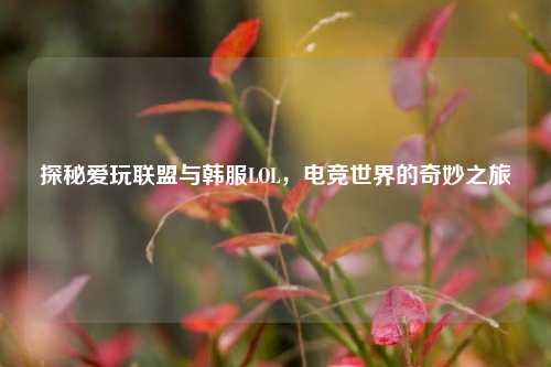 探秘爱玩联盟与韩服LOL，电竞世界的奇妙之旅
