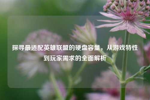 探寻最适配英雄联盟的硬盘容量，从游戏特性到玩家需求的全面解析