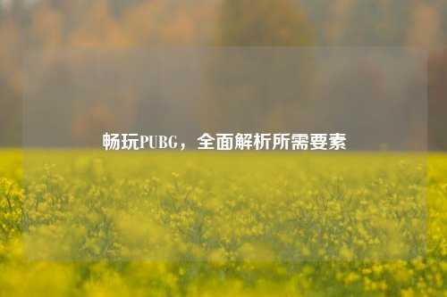 详细阅读:畅玩PUBG,全面解析所需要素 畅玩PUBG,全面解析所需要素