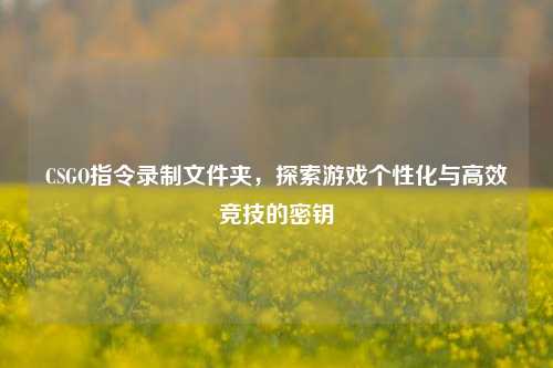 CSGO指令录制文件夹，探索游戏个性化与高效竞技的密钥