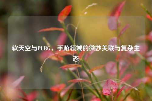 软天空与PUBG，手游领域的微妙关联与复杂生态
