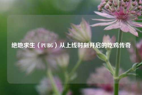 详细阅读:绝地求生(PUBG)从上线时刻开启的吃鸡传奇 绝地求生(PUBG)从上线时刻开启的吃鸡传奇